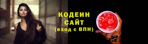 прущие грибы Россошь