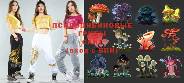 PSILOCYBIN Ростов