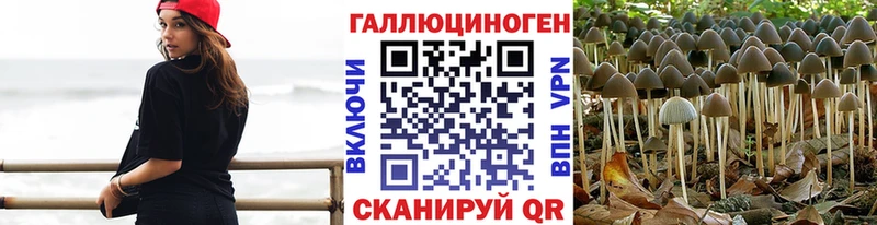 Галлюциногенные грибы мухоморы  Горбатов 